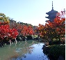 第５０回 京の冬の旅 非公開文化財特別公開