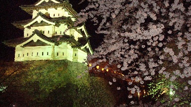 弘前城ライトアップ