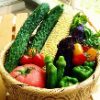 夏野菜で夏バテ予防の食べ物
