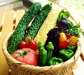 夏野菜で夏バテ予防の食べ物